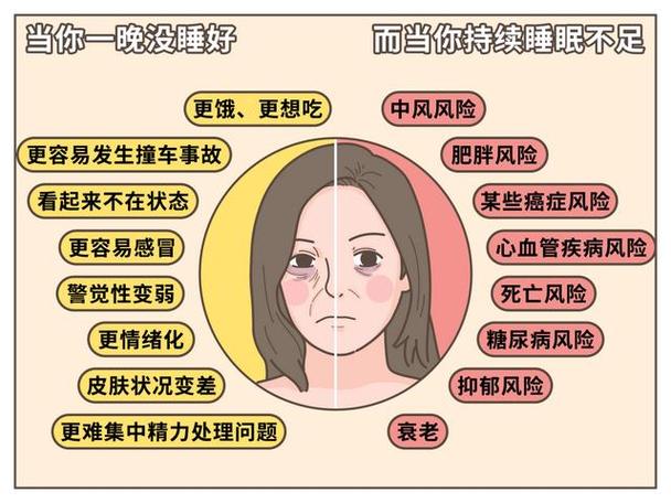 2005新澳正版免费大全和睡眠不足者攻击性强与睡眠不足伤什么器官