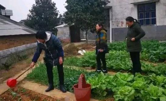 新澳天天开奖资料大全一和一地严禁自来水浇地与一地严禁自来水浇地的通知